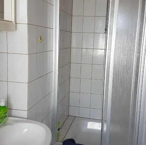 Goldner Löwe Saalburg